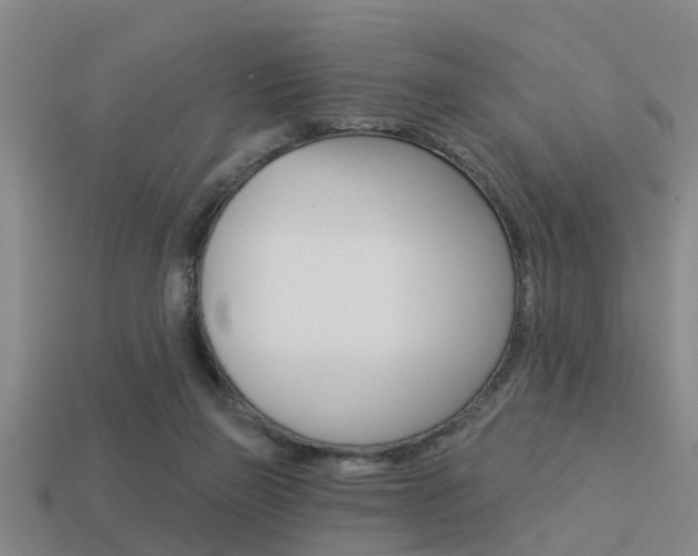 X0000113340165200909151013