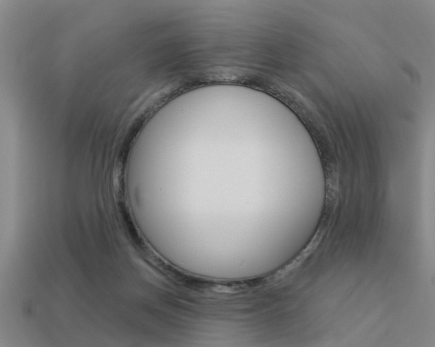 X0000113340166200909151013