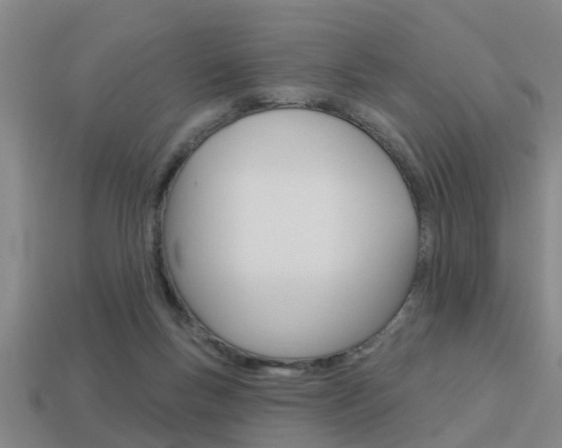 X0000113340167200909151013