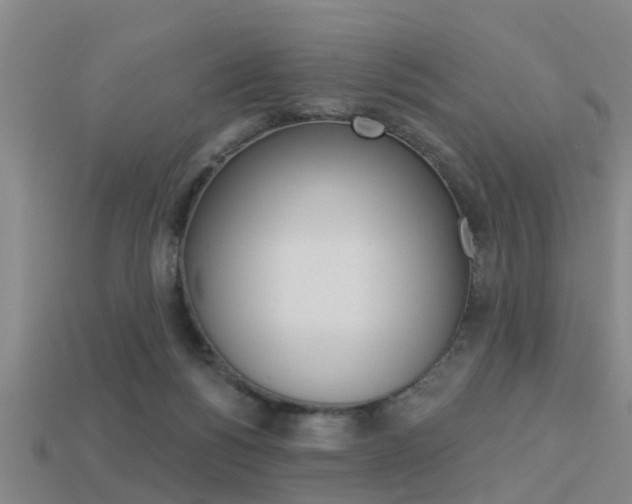 X0000113340168200909151013