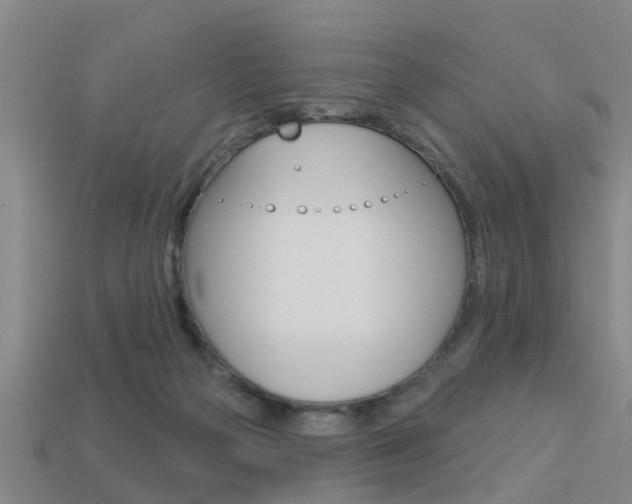 X0000113340169200909151013
