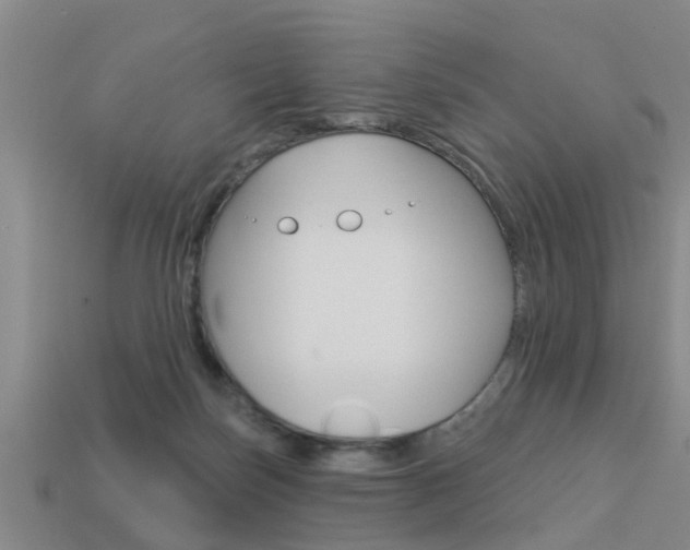 X0000113340171200909151013
