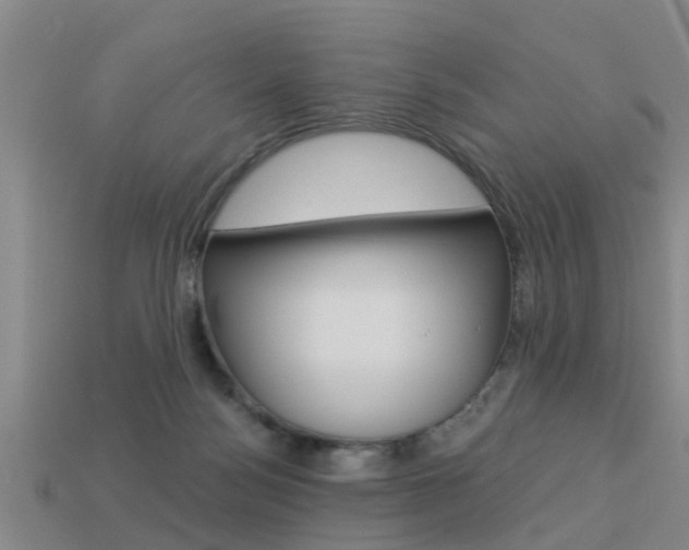 X0000113340172200909151013