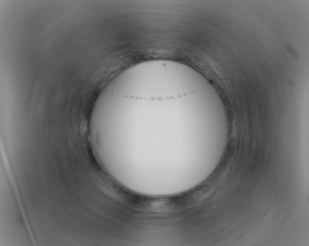 X0000113340173200909151013