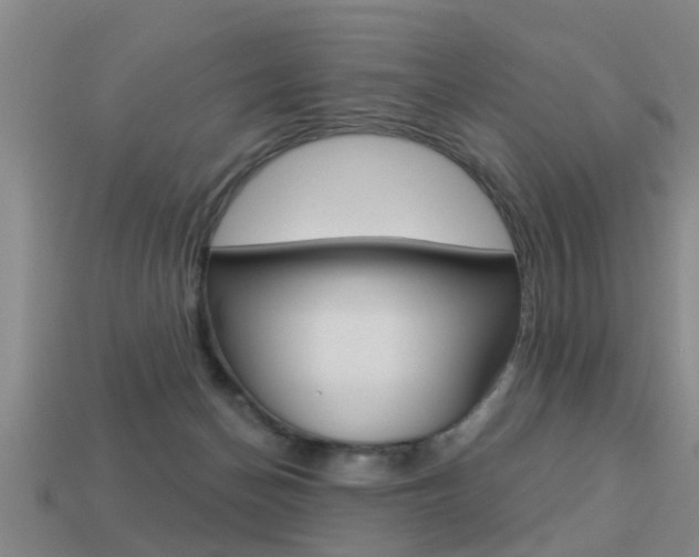 X0000113340174200909151013