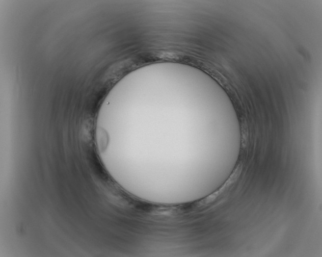 X0000113340175200909151013