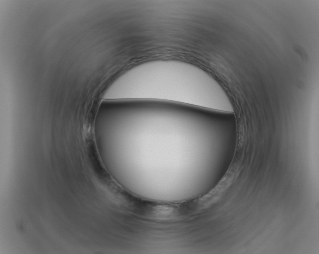 X0000113340176200909151013