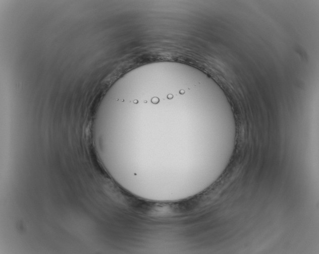 X0000113340177200909151013