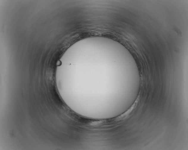 X0000113340178200909151013