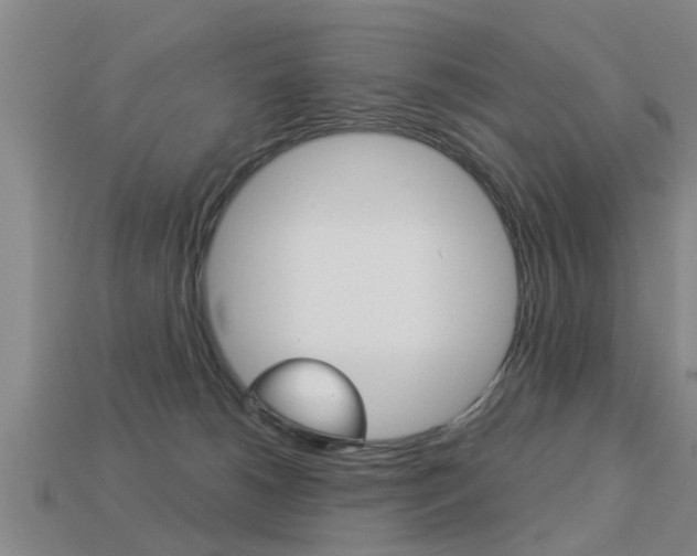 X0000113340180200909151013