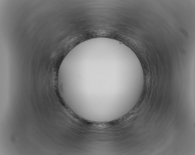 X0000113340181200909151013