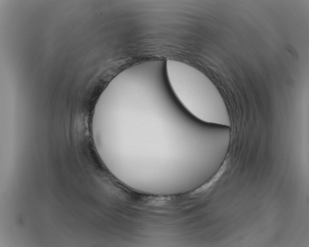 X0000113340182200909151013