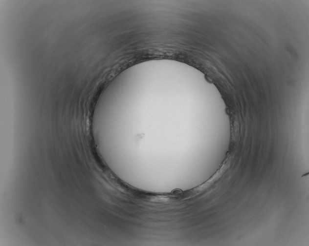 X0000113340183200909151013