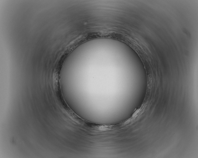 X0000113340184200909151013