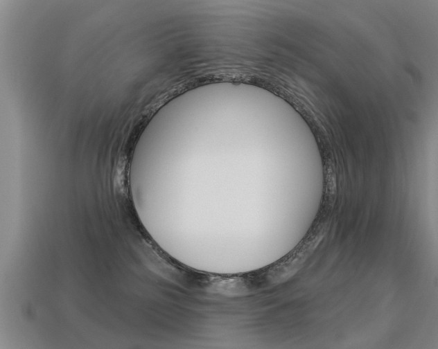 X0000113340185200909151013