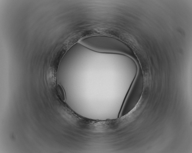 X0000113340186200909151013
