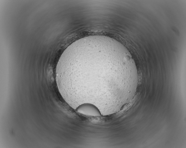 X0000113340187200909151013