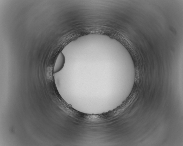 X0000113340189200909151013