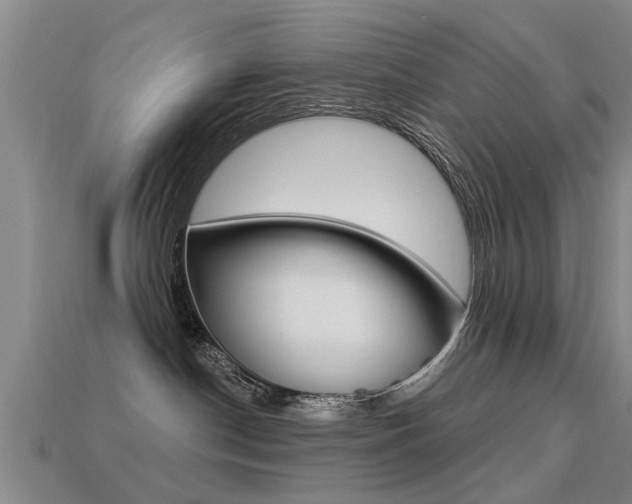 X0000113340190200909151013