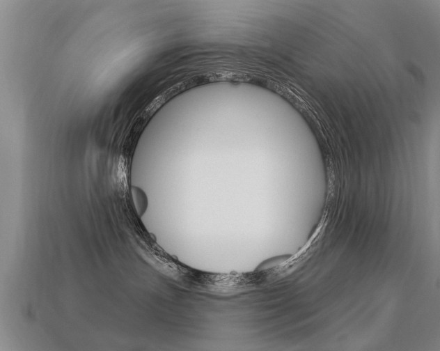 X0000113340191200909151013