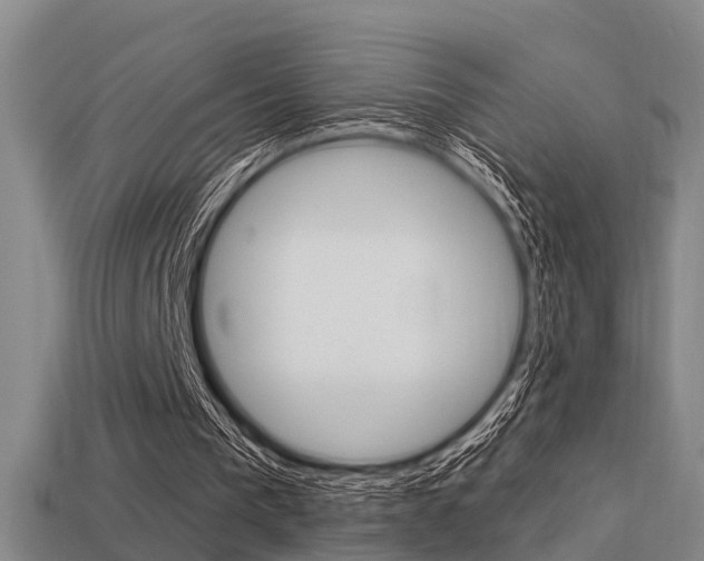 X0000113340193200909151013