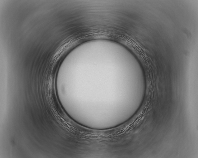 X0000113340194200909151013