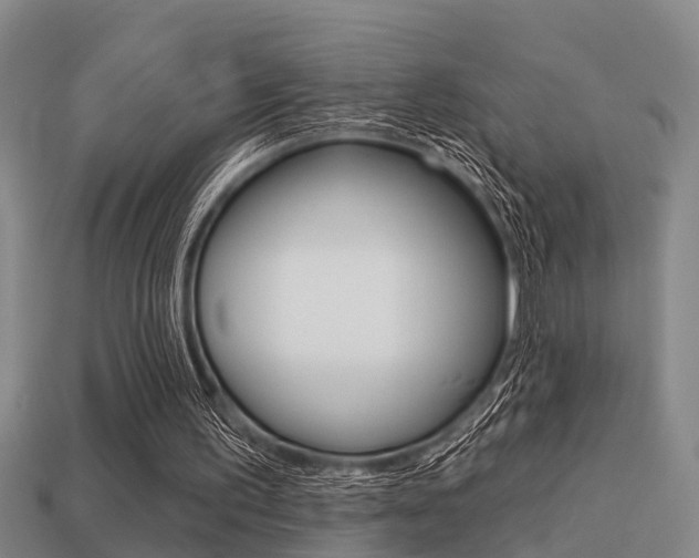 X0000113340195200909151013