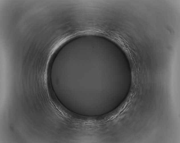 X0000113340196200909151013