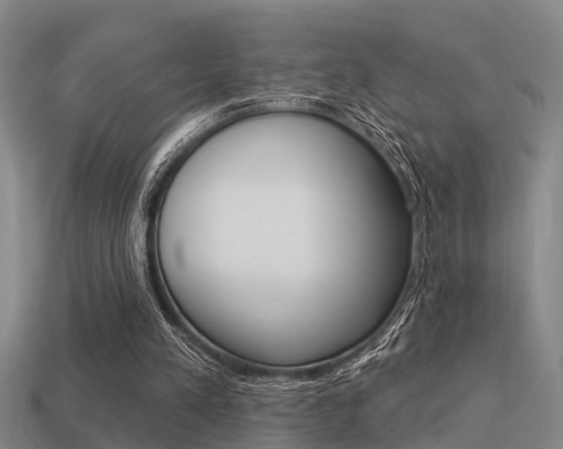 X0000113340197200909151013