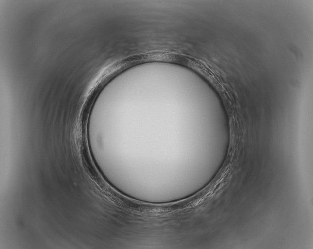 X0000113340198200909151013