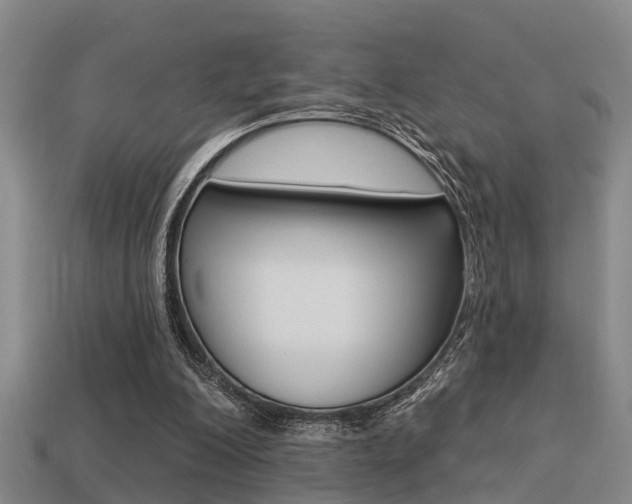 X0000113340200200909151013