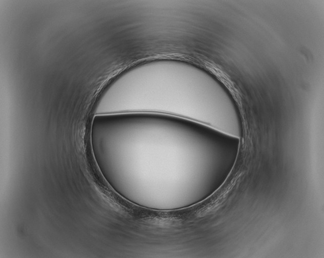 X0000113340201200909151013