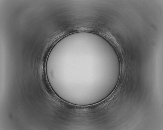 X0000113340202200909151013