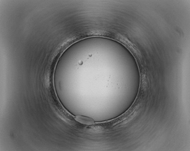 X0000113340203200909151012