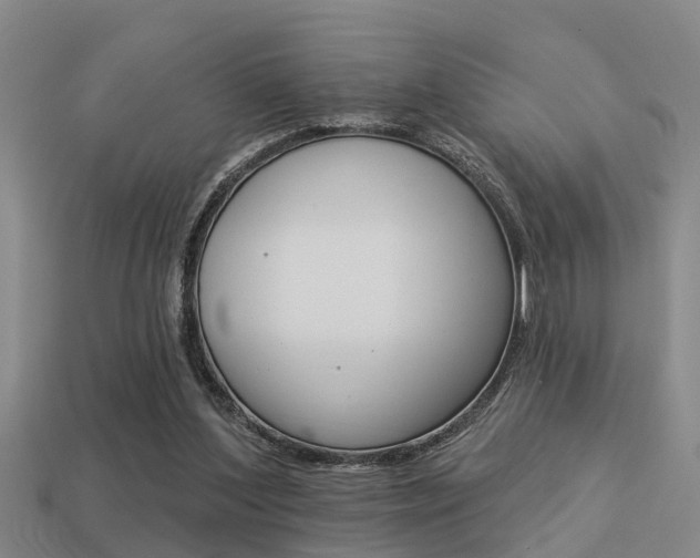 X0000113340204200909151012