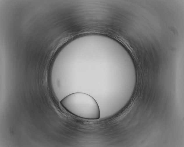 X0000113340205200909151012