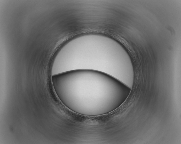 X0000113340207200909151012