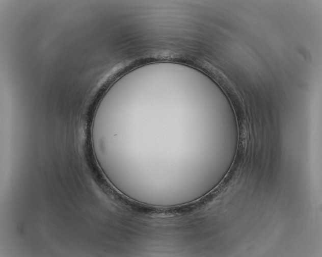 X0000113340208200909151012