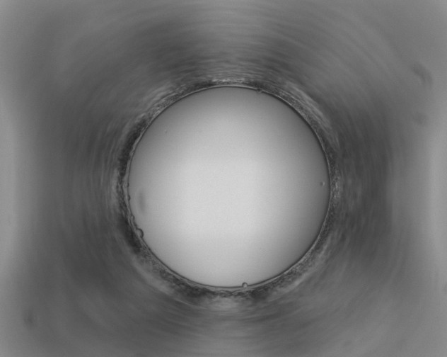 X0000113340209200909151012