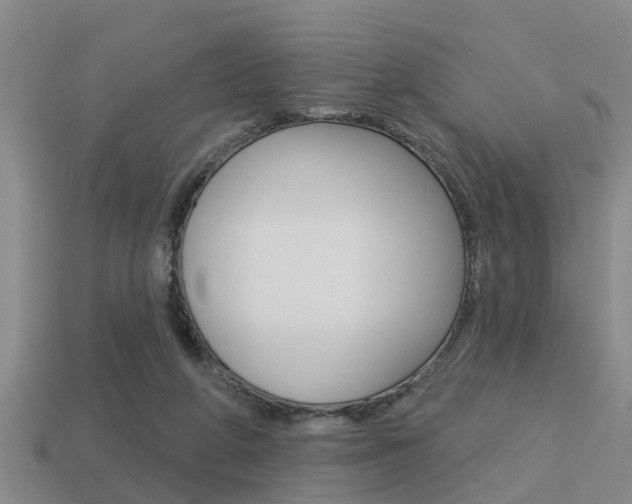 X0000113340210200909151012