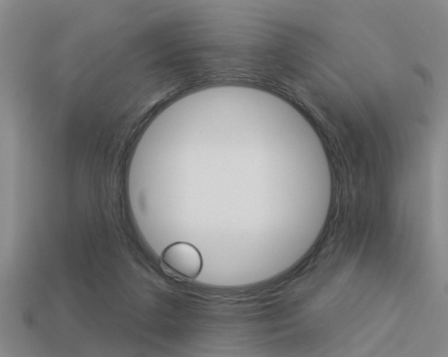 X0000113340211200909151012