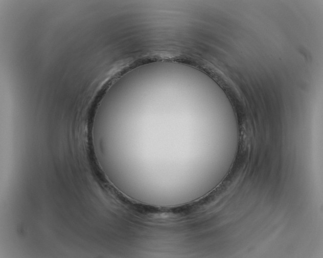 X0000113340212200909151012