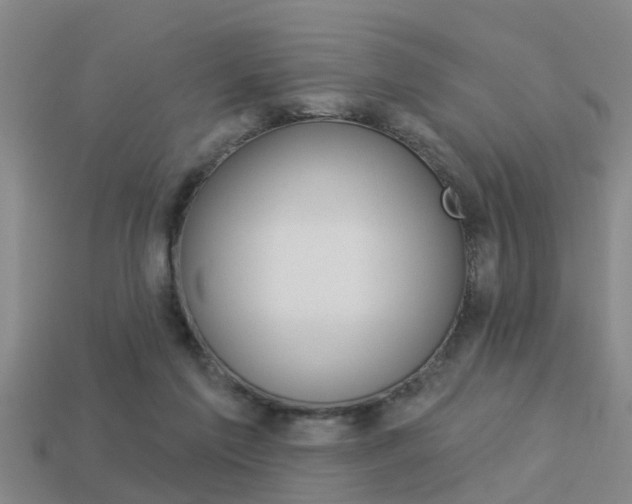 X0000113340213200909151012