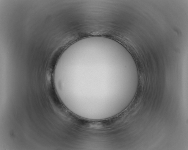 X0000113340214200909151012