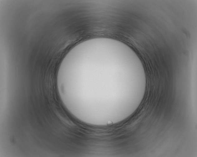 X0000113340215200909151012