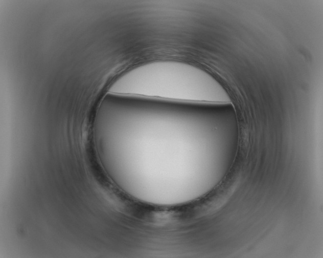 X0000113340216200909151012