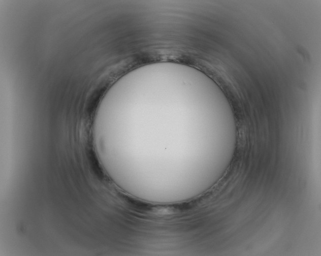 X0000113340218200909151012