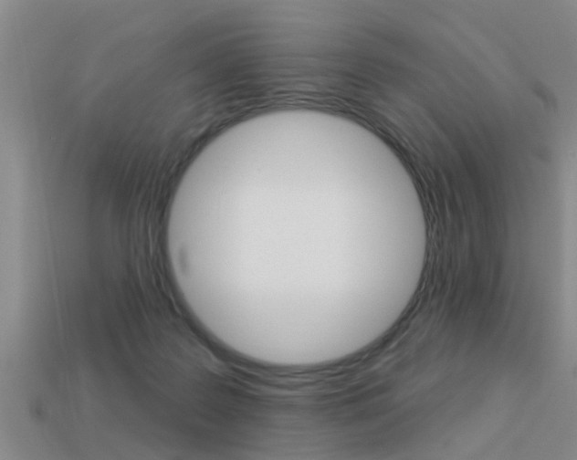 X0000113340219200909151012