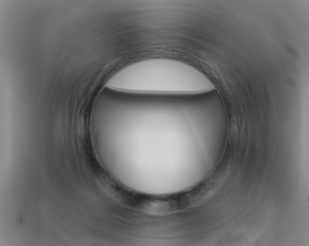 X0000113340220200909151012