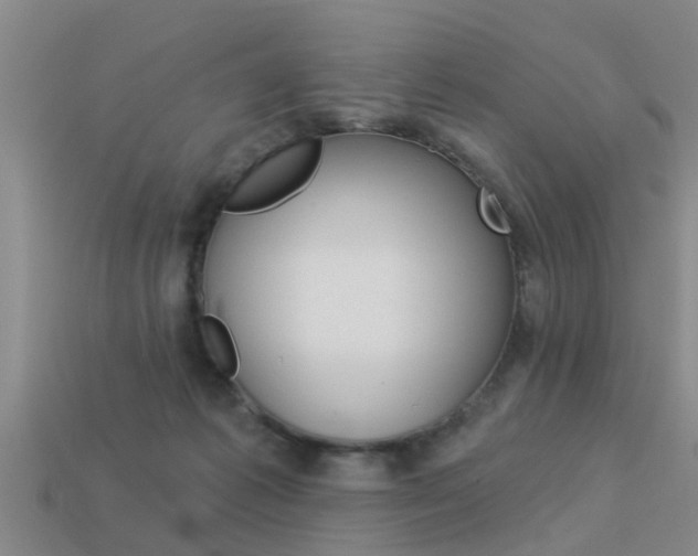 X0000113340221200909151012